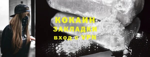 прущие грибы Арсеньев