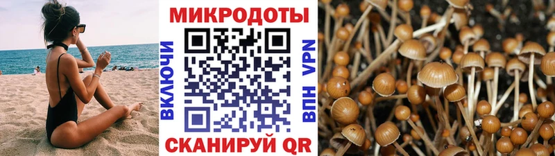 наркотики  Сим  Псилоцибиновые грибы Psilocybe 